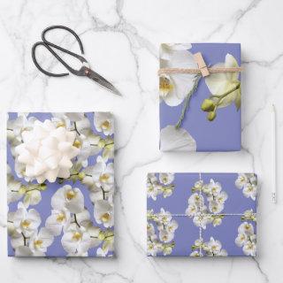 White Orchids Periwinkle Blue Lavender  Sheets