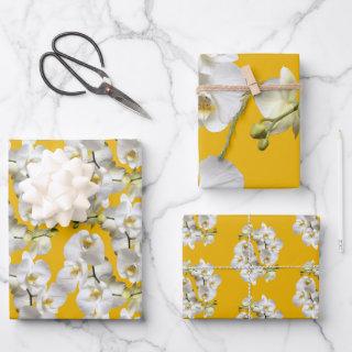 White Orchids Yellow Gold  Sheets