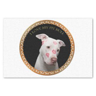 White pitbull with red kisses all over his face. tissue paper