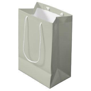 White Sage Solid Color Medium Gift Bag