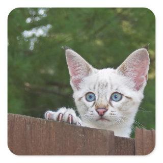 White Savannah Cat Square Sticker