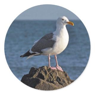 White seagull and ocean classic round sticker