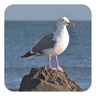 White seagull and ocean square sticker