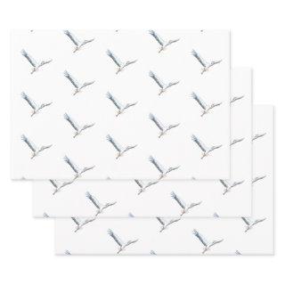 White storks flying    sheets