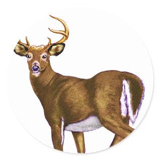 White Tail Deer Buck Classic Round Sticker