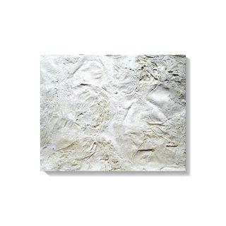White Tissue Paper Canvas Print