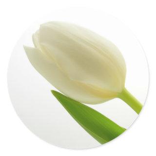White Tulip Classic Round Sticker