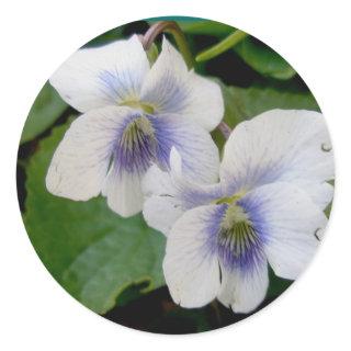 White Violet Pair Stickers