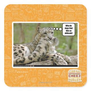 Why do dogs find this so difficult? square sticker