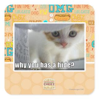Why you has a hide? square sticker