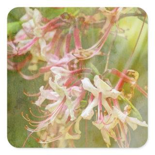 Wild Azalea Blossoms = Springtime Square Sticker