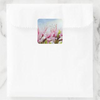 Wild Azalea Blossoms Square Sticker