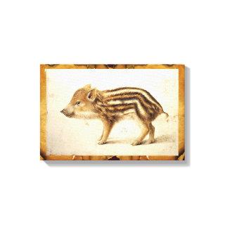 WILD BOAR PIGLET Animal Drawing Canvas Print