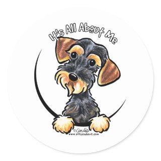 Wild Boar Wirehaired Dachshund Its All About Me Classic Round Sticker
