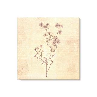 Wild Daisy Flower Wildflower Antique Script Paper Canvas Print