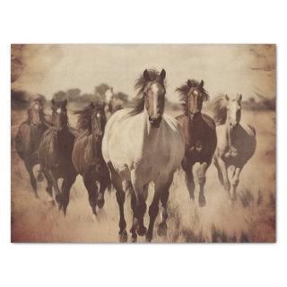 Wild Horses Tissue Paper