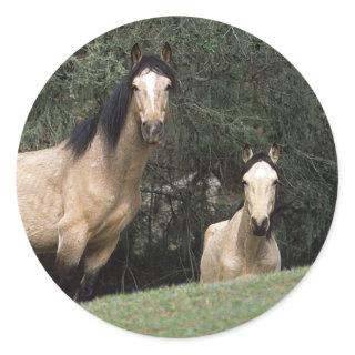 Wild Mustang Horses 6 Classic Round Sticker