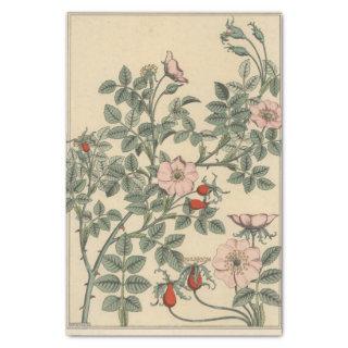 Wild Rose, Eugene Grasset's Botany Series Tissue Paper