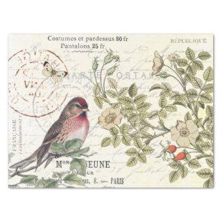 Wild Roses Carte Postale Songbird French Script  Tissue Paper