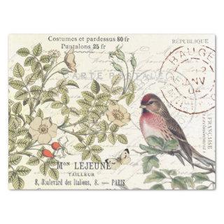 Wild Roses Carte Postale Songbird French Script  Tissue Paper