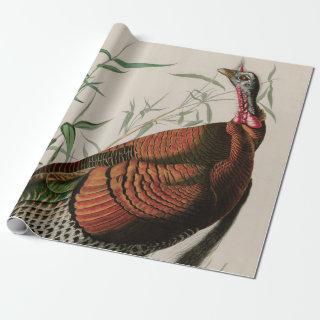 Wild Turkey Birds of America Audubon Print