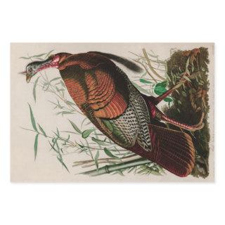 Wild Turkey Birds of America Audubon Print  Sheets