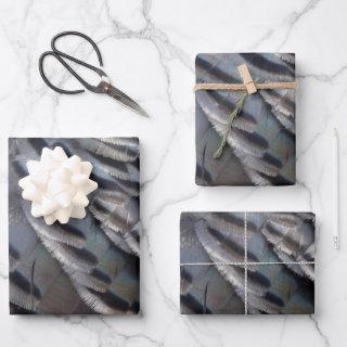 Wild Turkey Feathers II Abstract Nature Design  Sheets