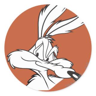WILE E. COYOTE™ Looking sneaky Classic Round Sticker
