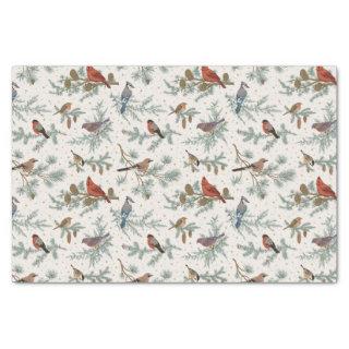 Winter Birds and Pine Branches Pattern Tissue Paper
