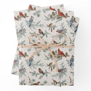 Winter Birds and Pine Branches Pattern  Sheets