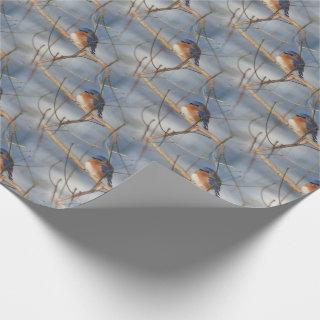 Winter Bluebird Nature Pattern