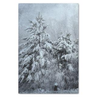 Winter Forest Vintage Woodland Snow Covered Trees Tissue Paper