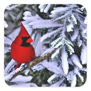 Winter Red Cardinal Square Sticker