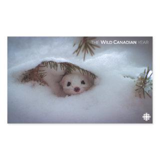 Winter - Short-Tailed Weasel Rectangular Sticker