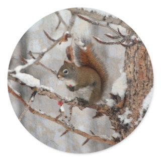 Winter Squirrel, Snow & Red Berries Xmas Design Classic Round Sticker