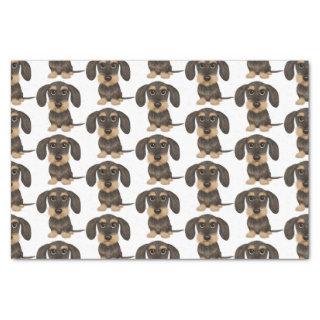 Wirehaired Dachshund | Cute Teckel Dog Patterned Tissue Paper