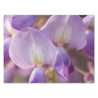 wisteria  tissue paper