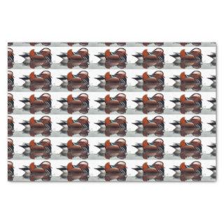 Wood Duck Thunder_Cove Tissue Paper