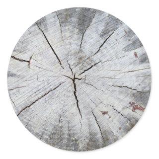 Wood Grain Gray Pine Tree Stump Photo Art 1 Classic Round Sticker
