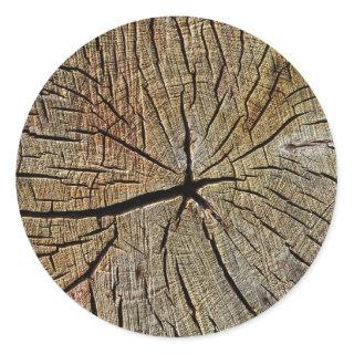 Wood Texture Grain Tree Year Rings Pattern Classic Round Sticker