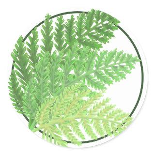 Woodland forest green ferns forest ferns classic round sticker