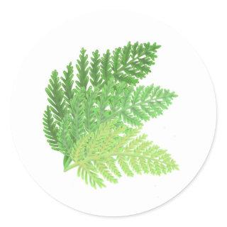 Woodland forest green ferns forest ferns leaves classic round sticker