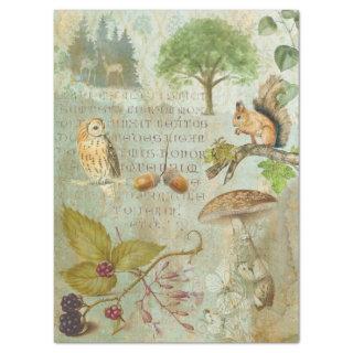 Woodland Forest Wildlife Squirrel, Owl, Decoupage Tissue Paper