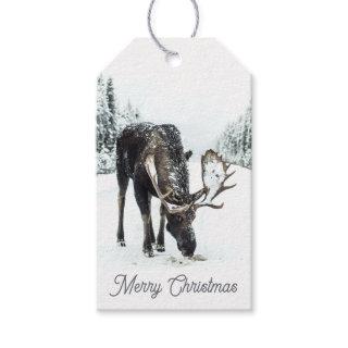Woodland Moose In Winter Snow Gift Tags