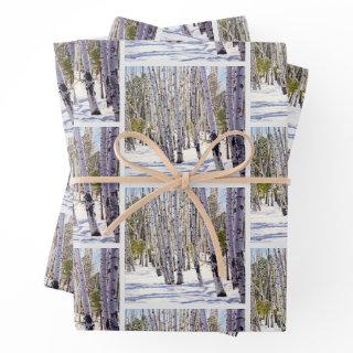 Woodland of Aspen Trees  Sheets