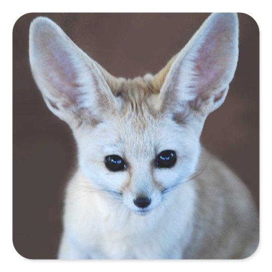 Worlds Cutest Fennec Fox Square Sticker