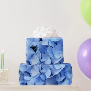Blue Hydrangea