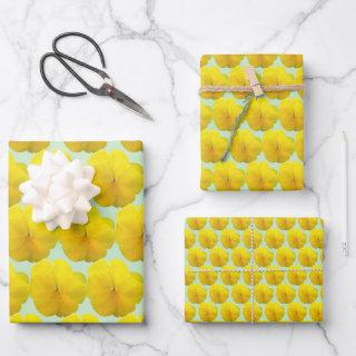 Set - Pencilled Yellow Pansy