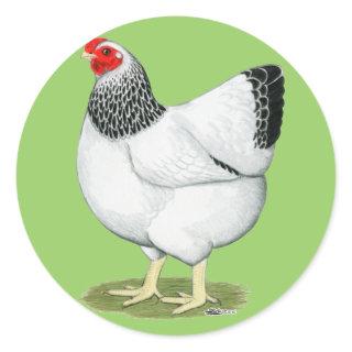 Wyandotte:  Columbian Hen Classic Round Sticker