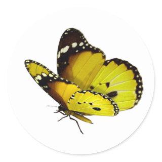 yellow Butterfly Square Stickers
